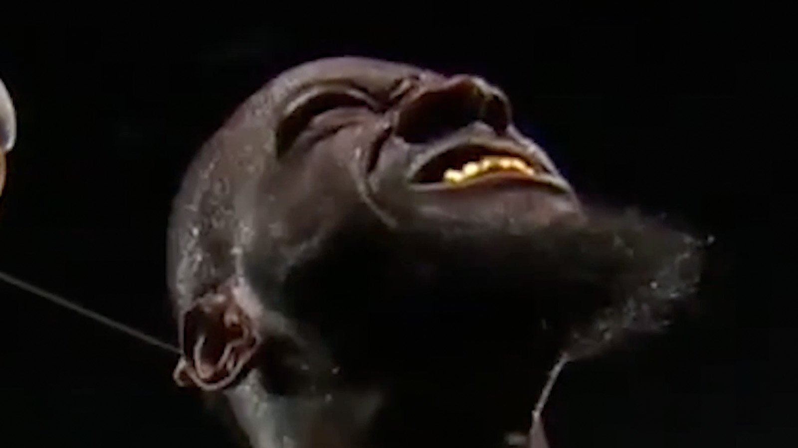 Describe the thumbnail
